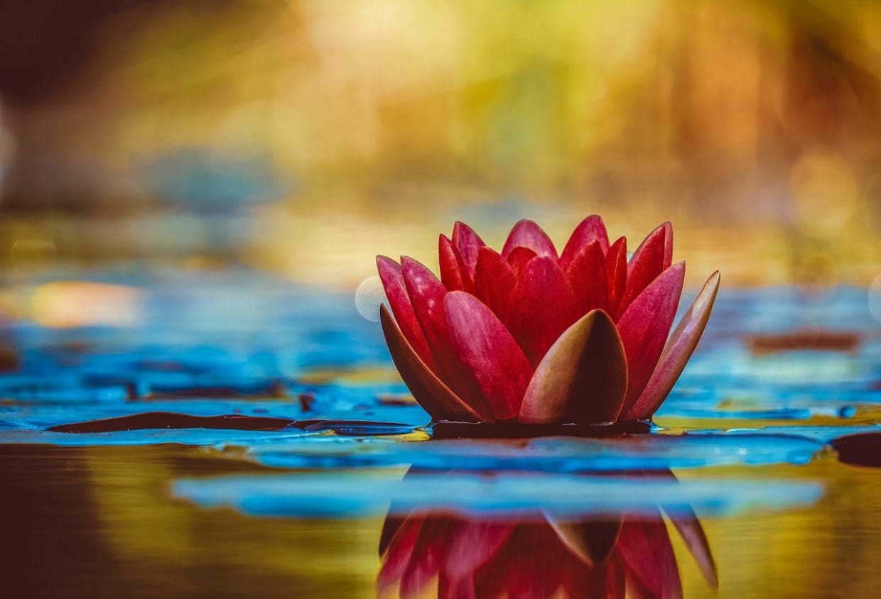 Theories of Floating