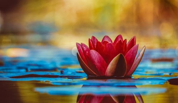 Theories of Floating