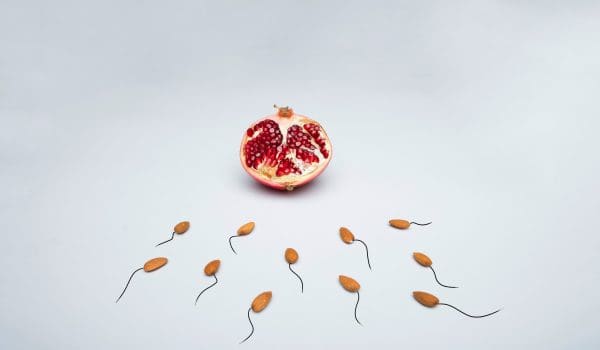Natural ways to conceive